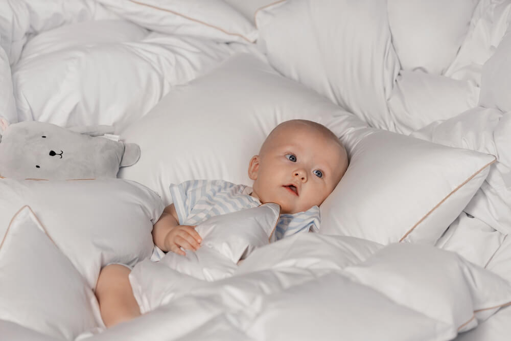 Eiderdown the Best Down for Lightweight Summer Duvets and Comforters